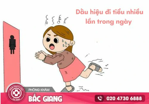 Đi tiểu nhiều lần trong ngày là bệnh gì? Cách trị hiệu quả