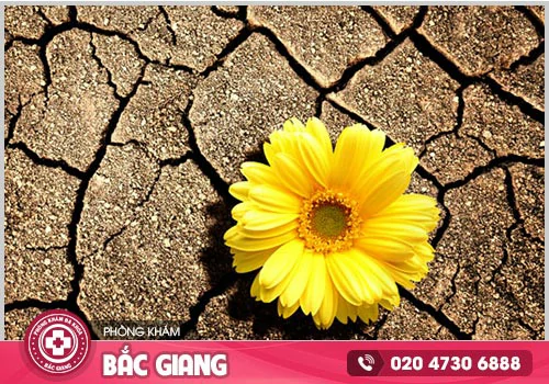 Khô âm đạo - Nỗi ám ảnh của nhiều chị em