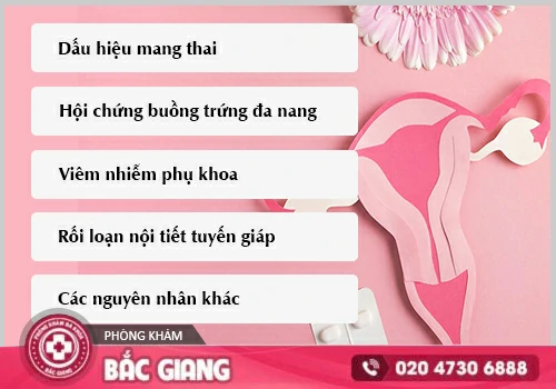 Mất Kinh Nguyệt Là Dấu Hiệu Gì? 5 Nguyên Nhân Phổ Biến Phụ Nữ Cần Biết