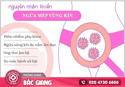 Ngứa mép vùng kín là dấu hiệu của bệnh gì?