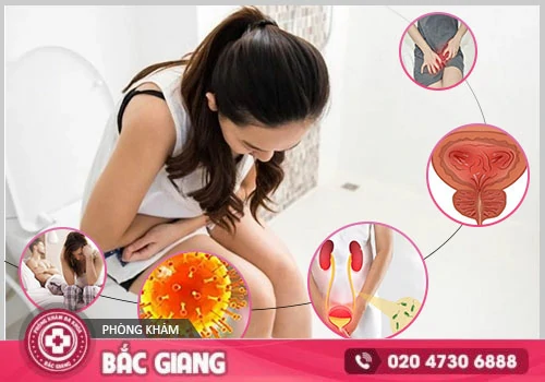đi tiểu nhiều lần trong ngày