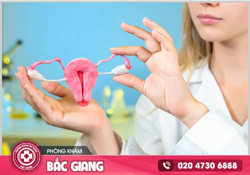 Nổi hạch ở bẹn vùng kín không thể chủ quan
