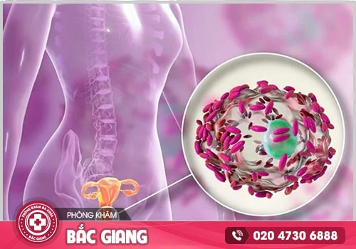 Nổi mụn vùng kín nữ nguyên nhân do đâu? Có nguy hiểm không?