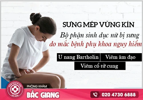 Sưng mép vùng kín - Dấu hiệu cảnh báo viêm nhiễm cơ quan sinh dục