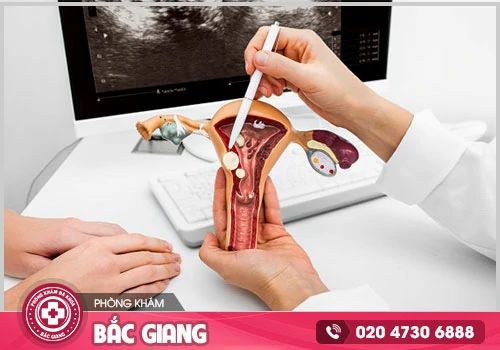 Tại sao nên khám phụ khoa? Khám ở đâu uy tín?