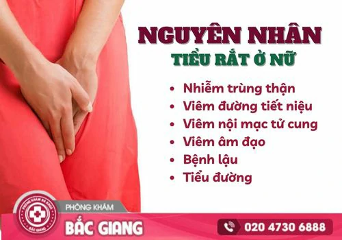 Những thông tin cần biết về hiện tượng tiểu rắt