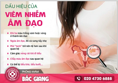Nguyên nhân viêm âm đạo là gì? Cách trị bệnh?