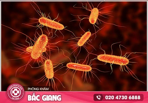 Viêm âm đạo có nguy hiểm không?