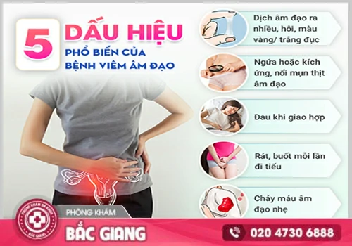 Tìm hiểu tổng quan về bệnh viêm âm đạo