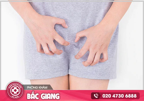 Viêm Âm Hộ Là Gì? Dấu Hiệu Và Cách Điều Trị Hiệu Quả