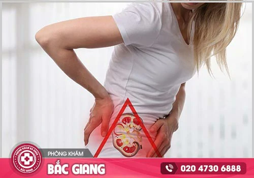 Viêm bàng quang nữ là gì? Phải làm sao khi mắc bệnh?
