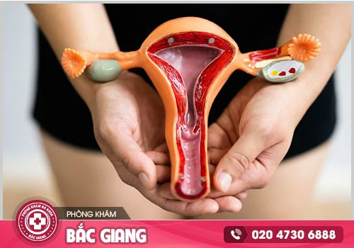 Vùng kín có mùi nguyên nhân do đâu?